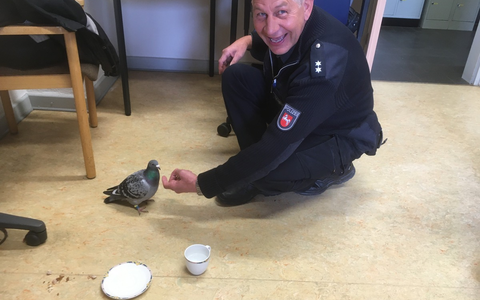 POL-HA: Flucht vor der Polizei - Zu schnell geflogen! - Foto: presseportal.de