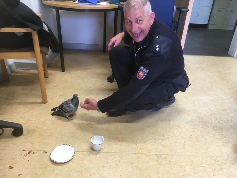 POL-HA: Flucht vor der Polizei - Zu schnell geflogen! - Foto: presseportal.de