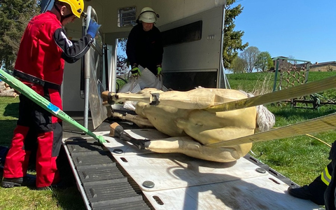 Mehr Geld für Schulen – aber auch die richtigen Konzepte? Das steckt hinter dem Startchancen-Programm - Foto: presseportal.de