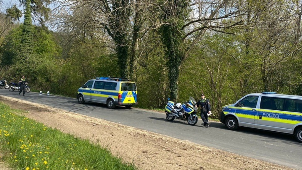 POL-UN: Werne - Gänsefamilie durch Polizei von Straße gerettet - Foto: presseportal.de