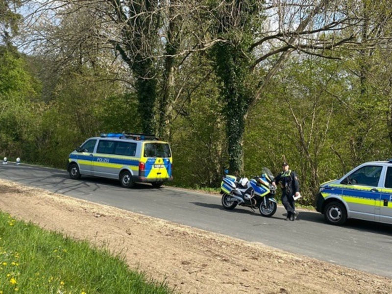 POL-UN: Werne - Gänsefamilie durch Polizei von Straße gerettet - Foto: presseportal.de