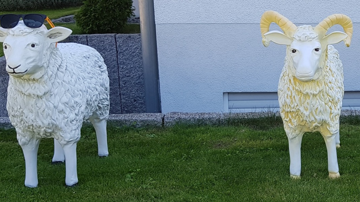 POL-PDLD: Edesheim - Schafe auf Abwege - Foto: presseportal.de