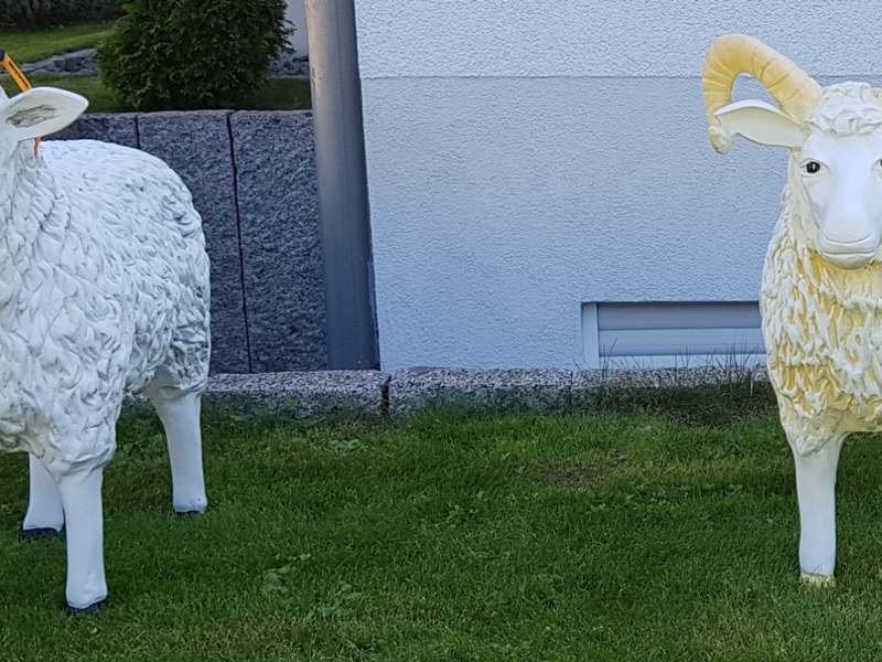 LPI-NDH: Leichtsinnige Schafe auf der Flucht - Foto: presseportal.de