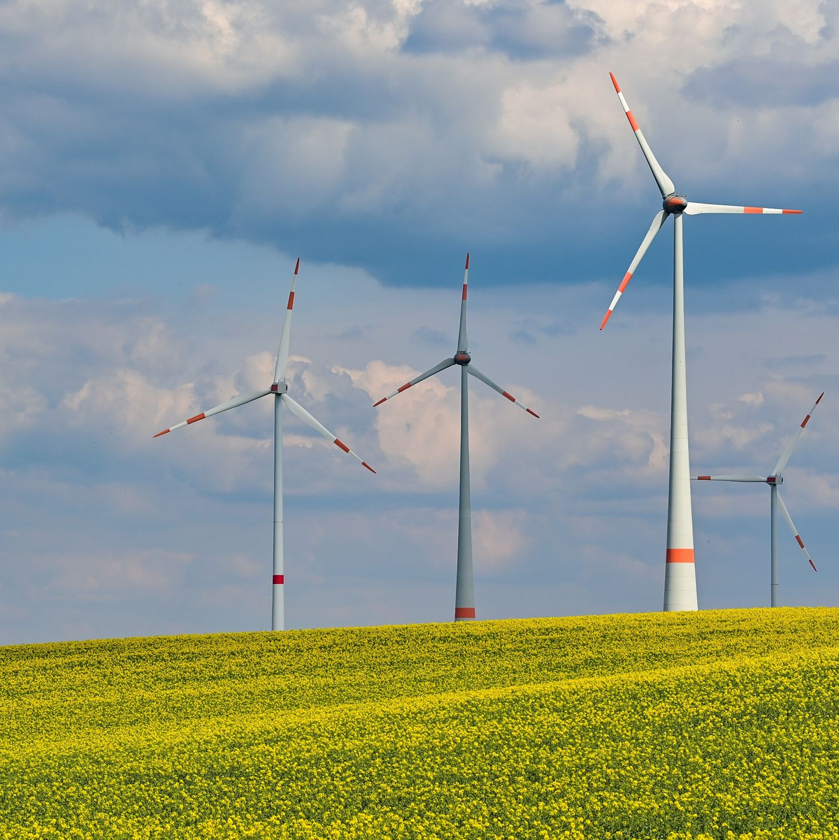 In den ersten neun Monaten des Jahres haben die Behörden bundesweit 976 neue Windräder zugelassen. - Foto: Patrick Pleul/dpa