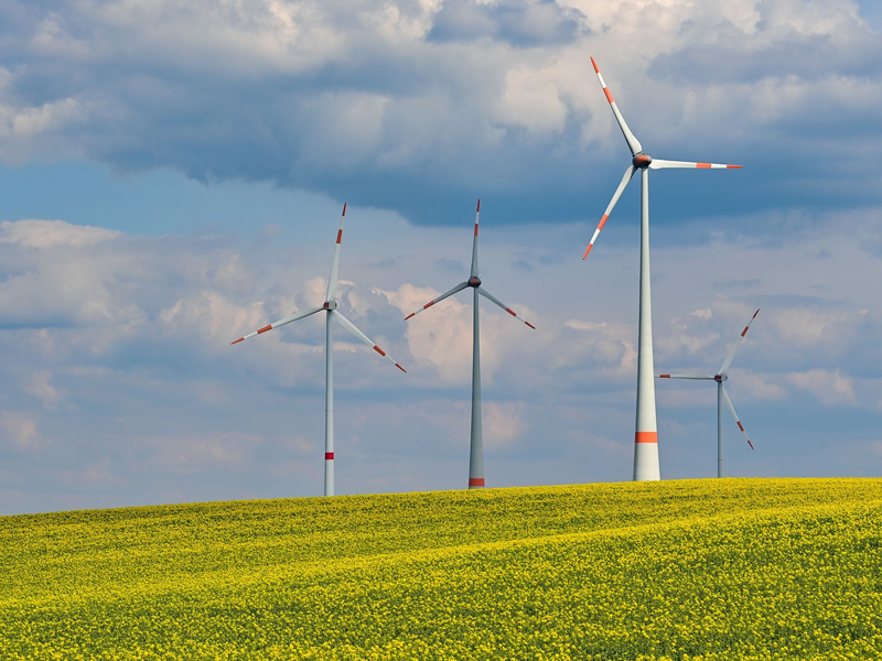 In der Windindustrie kommen Zweifel auf, ob die ehrgeizigen Ausbauziele der Bundesregierung realisierbar sind. - Foto: Patrick Pleul/dpa