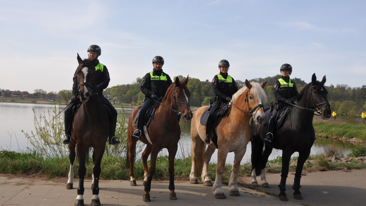 POL-AC: Pferde ausgebüxt - Passanten und Polizei arbeiten Hand in Hand - Foto: presseportal.de