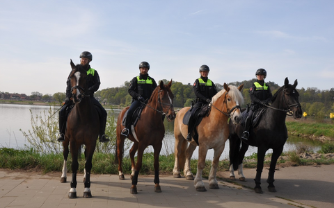 POL-AC: Pferde ausgebüxt - Passanten und Polizei arbeiten Hand in Hand - Foto: presseportal.de