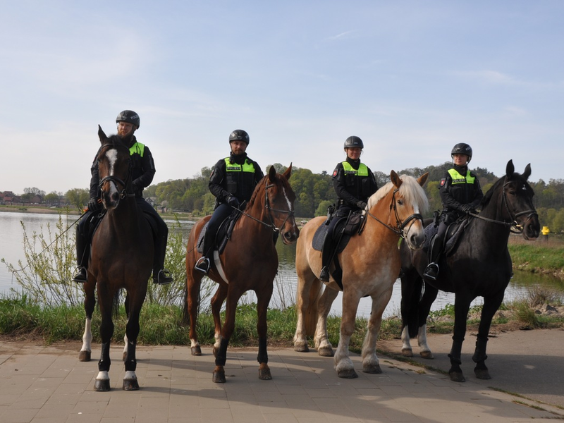 POL-AC: Pferde ausgebüxt - Passanten und Polizei arbeiten Hand in Hand - Foto: presseportal.de