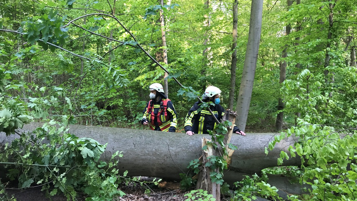 POL-BO: O Tannebaum, o Tannebaum?! - Foto: presseportal.de