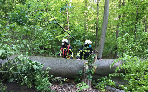 POL-UL: (GP) Bad Überkingen - Vandalismus an Grillstelle / Unbekannte ließen ihrer Zerstörungswut vergangenes Wochenende bei Bad Überkingen freien Lauf. - Foto: presseportal.de
