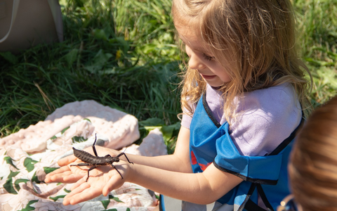 FFW Schwalmtal: E-Call löst Einsatz aus: Vier Verletzte bei Verkehrsunfall auf der L371 - Foto: presseportal.de