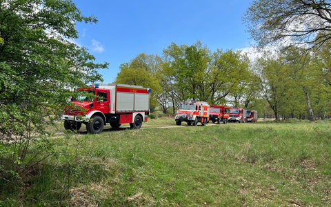 Zum zweiten Mal innerhalb einer Woche: NORMA reduziert Ende Mai zusätzliche Artikel quer durch das Sortiment / Die größte Preissenkung in der Unternehmensgeschichte geht weiter - Foto: presseportal.de