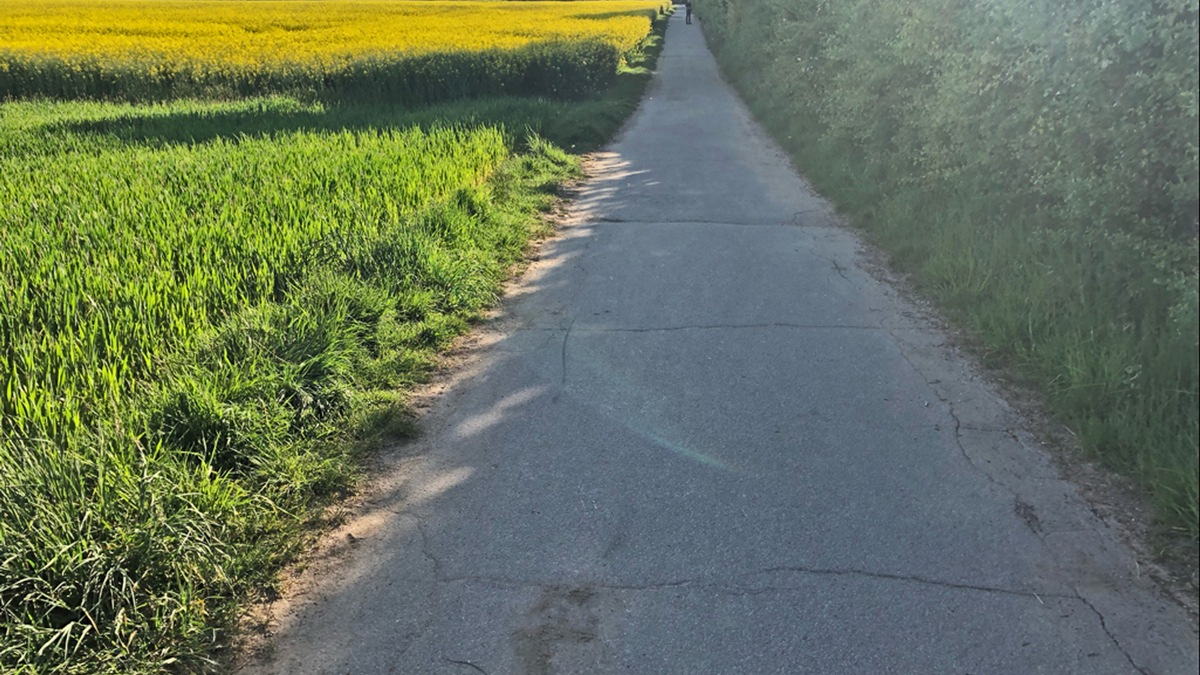 POL-D: Oberbilk - Ellerstraße - Fahrradfahrerin stößt mit Fußgänger zusammen - Polizei sucht weitere Zeugen - Foto: presseportal.de