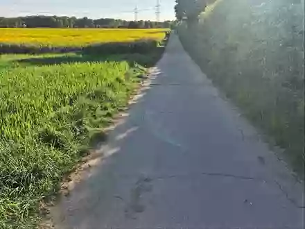 POL-D: Oberbilk - Ellerstraße - Fahrradfahrerin stößt mit Fußgänger zusammen - Polizei sucht weitere Zeugen - Foto: presseportal.de