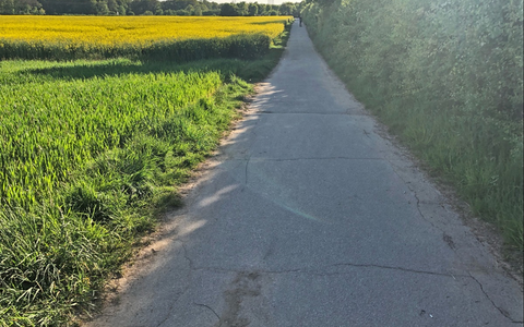 POL-D: Oberbilk - Ellerstraße - Fahrradfahrerin stößt mit Fußgänger zusammen - Polizei sucht weitere Zeugen - Foto: presseportal.de