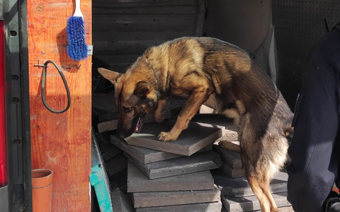 Fokus auf FRITZ! - Produkte und Unternehmen unter einer starken Marke vereint - Foto: presseportal.de Fokus auf FRITZ! - Produkte und Unternehmen unter einer starken Marke vereint - Foto: presseportal.de