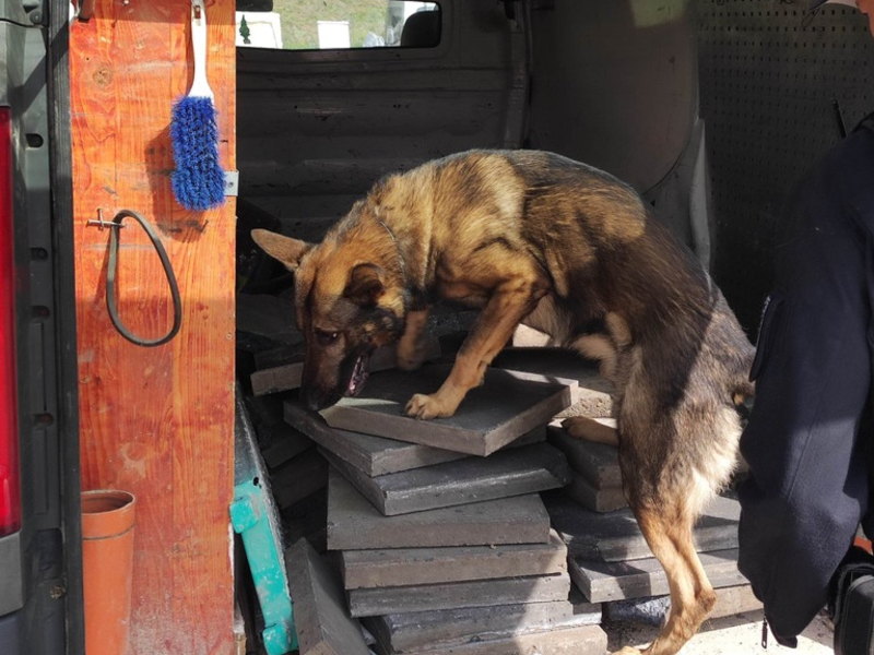 Fokus auf FRITZ! - Produkte und Unternehmen unter einer starken Marke vereint - Foto: presseportal.de