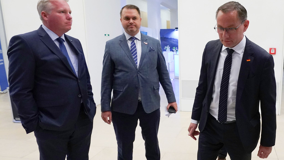 Die AfD liegt derzeit bundesweit im Umfragehoch. In Mecklenburg-Vorpommern und in Thüringen erzielte die Partei neue Höchstwerte. - Foto: Marcus Brandt/dpa