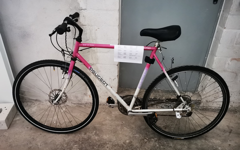 PEUGEOT Ocean Trophy 2024: Einsatz für Umwelt- und Meeresschutz - Foto: presseportal.de