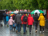 Ab der Wochenmitte kommt der Frühling zurück in weite Teile Deutschlands. (Archivbild) - Foto: Stefan Sauer/dpa