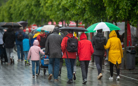 Ab der Wochenmitte kommt der Frühling zurück in weite Teile Deutschlands. (Archivbild) - Foto: Stefan Sauer/dpa