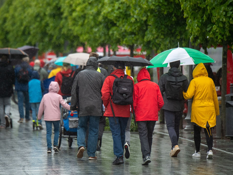 Ab der Wochenmitte kommt der Frühling zurück in weite Teile Deutschlands. (Archivbild) - Foto: Stefan Sauer/dpa