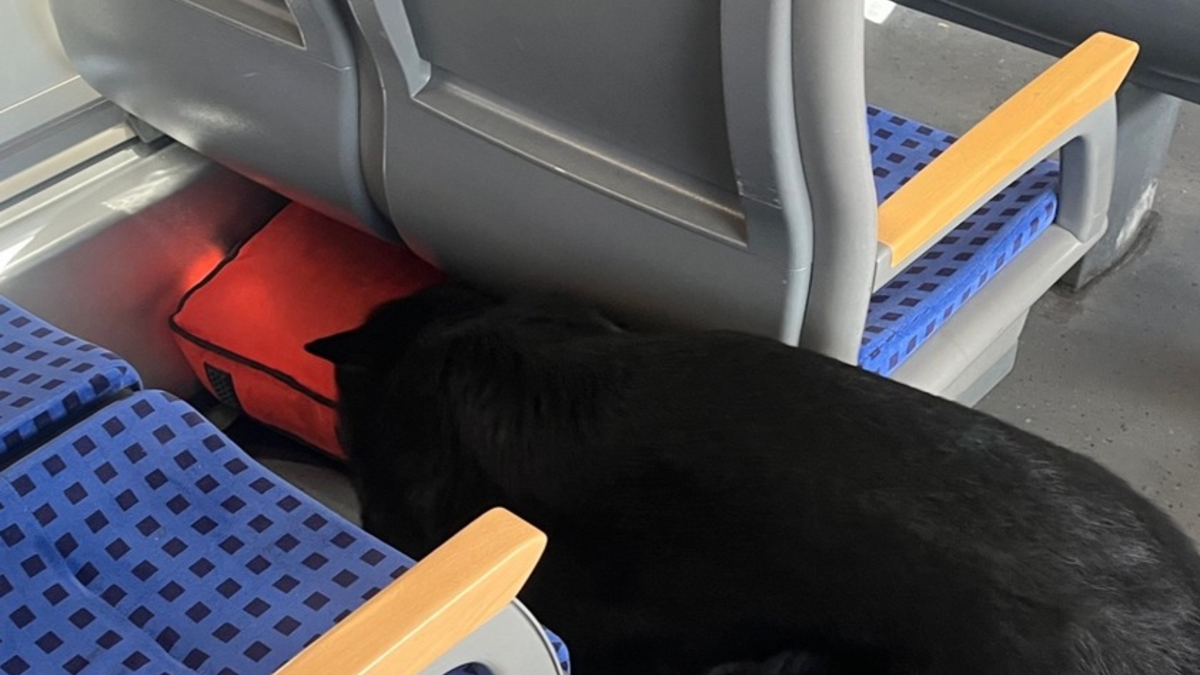 FW-GLA: Brand in einer Schule in Gladbeck-Mitte - Foto: presseportal.de