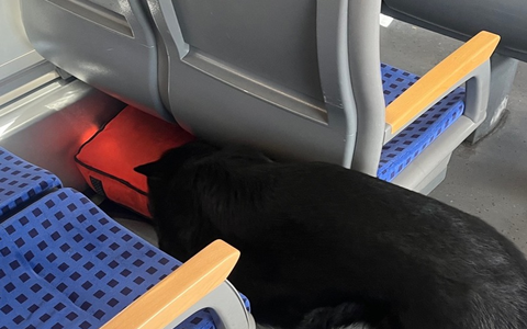 FW-GLA: Brand in einer Schule in Gladbeck-Mitte - Foto: presseportal.de