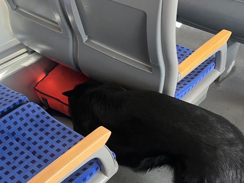 FW-GLA: Brand in einer Schule in Gladbeck-Mitte - Foto: presseportal.de