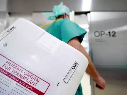 Ein Styropor-Behälter zum Transport von zur Transplantation vorgesehenen Organen. - Foto: Soeren Stache/dpa
