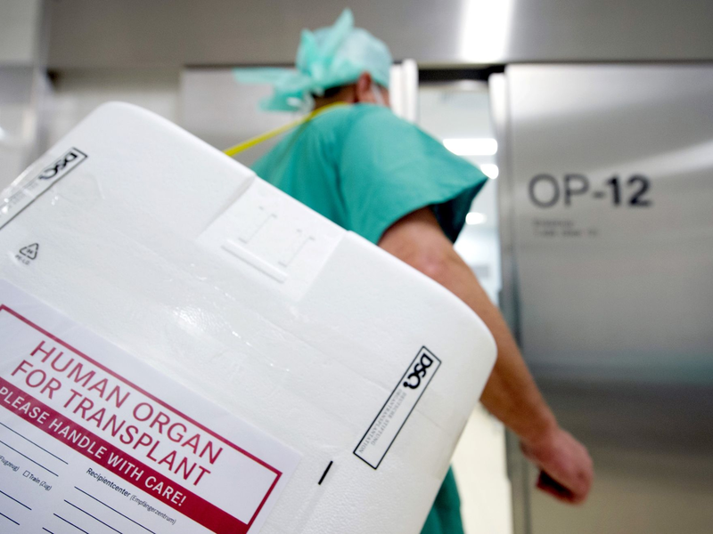 Auch anonyme Nierenspenden sollen künftig möglich sein. (Archivbild) - Foto: Soeren Stache/dpa