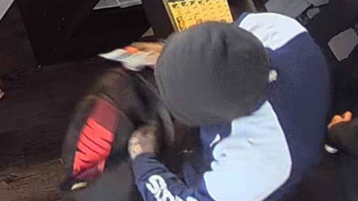 LPI-SLF: Eigentümer von aufgefundenem Safe gesucht - Foto: presseportal.de