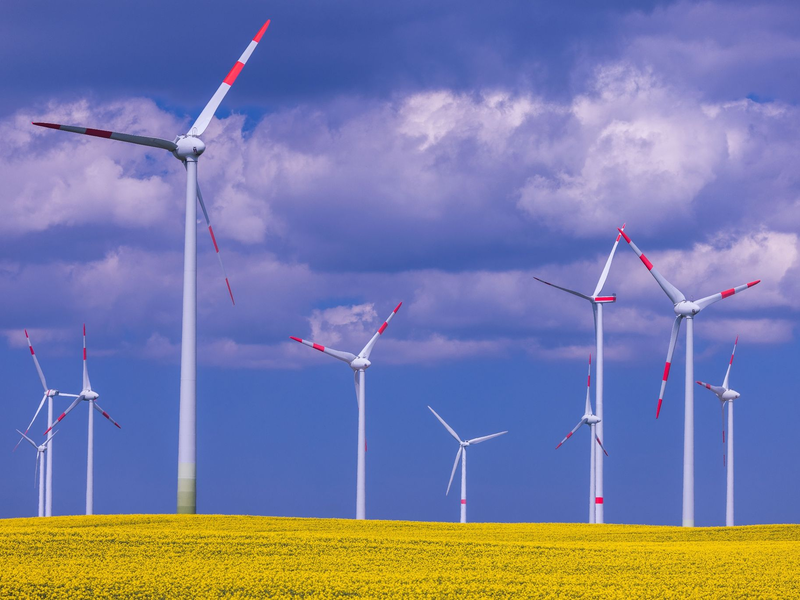 Durch mehr Strom aus Wind- und Solarkraft und eine geringere Nachfrage sind die Emissionen aus dem Energiesektor 2023 in der EU stark zurückgegangen. - Foto: Jens Büttner/dpa