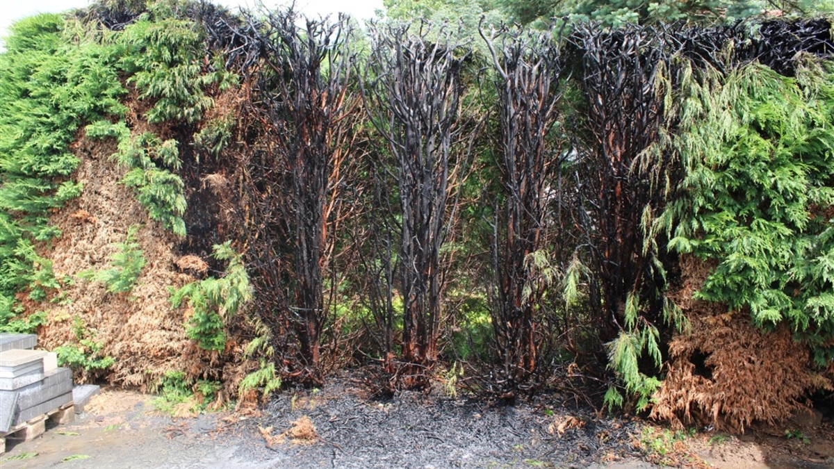 FW-EN: Leichtsinniges Verhalten verursacht Einsätze - Foto: presseportal.de