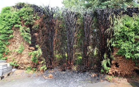 FW-EN: Leichtsinniges Verhalten verursacht Einsätze - Foto: presseportal.de