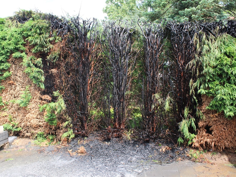 FW-EN: Leichtsinniges Verhalten verursacht Einsätze - Foto: presseportal.de