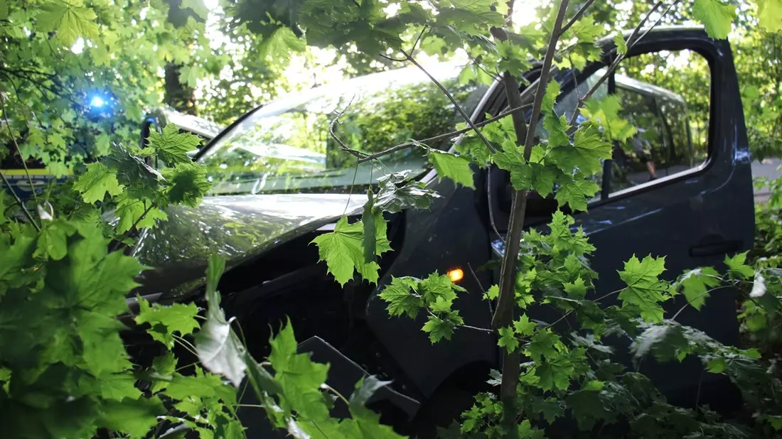 POL-COE: Coesfeld, Stockum/ Auto kollidiert mit Baum - Bild: presseportal.de