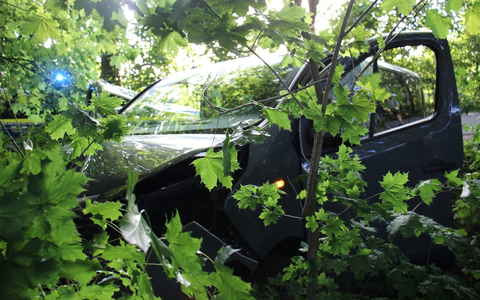 POL-COE: Coesfeld, Stockum/ Auto kollidiert mit Baum - Foto: presseportal.de