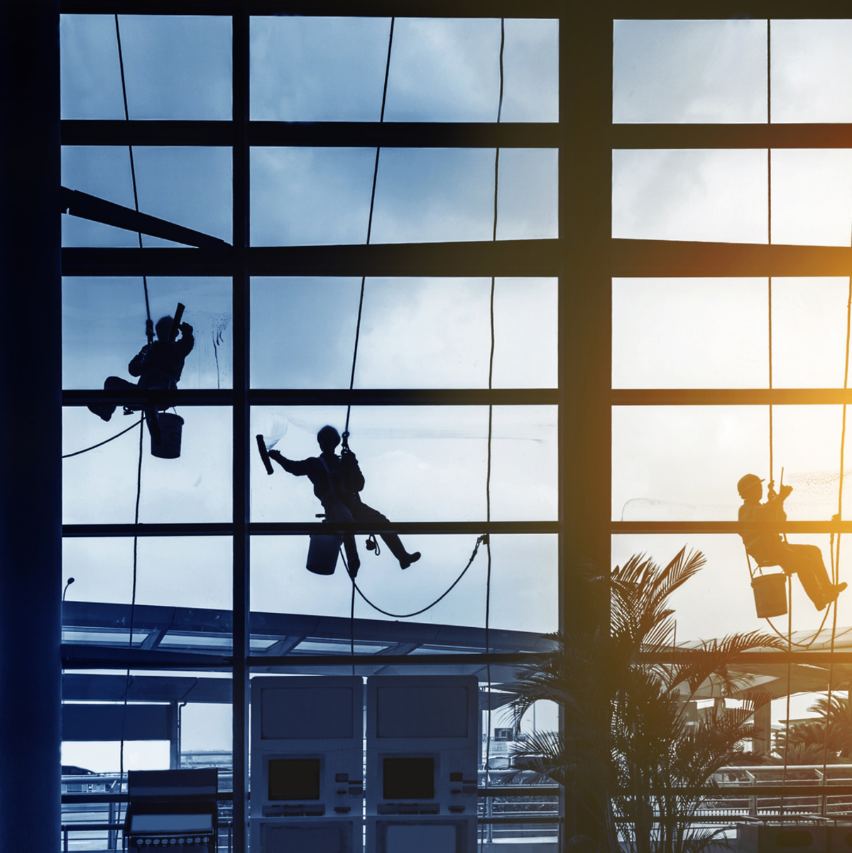  - Foto: @ hxdyl DATEI-NR.:  52365423