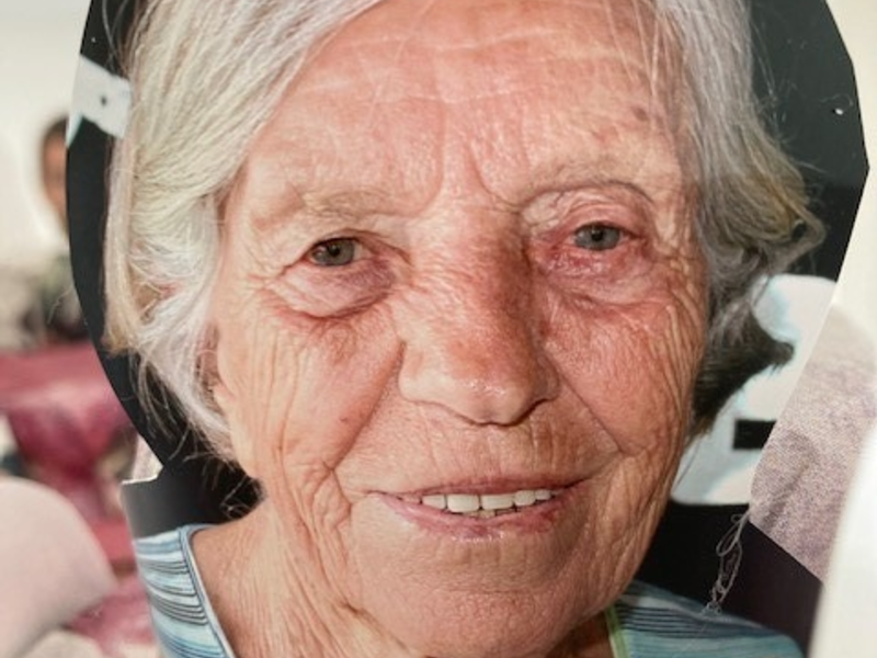 POL-D: Stockum - Fuchsbabys in Notlage - Tierischer Einsatz für die Polizei - Foto: presseportal.de