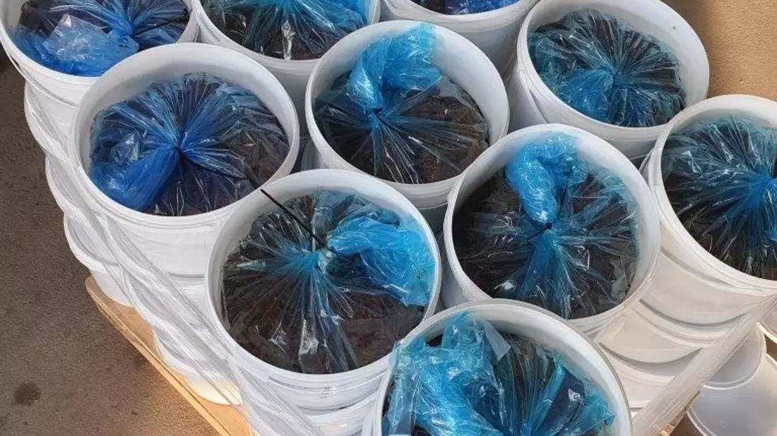 HZA-B: Berliner Zoll kontrolliert drei Shisha-Bars und wird fündig 22kg Wasserpfeifentabak, 366g Drogen und Verstöße gegen Schwarzarbeitsbekämpfungsgesetz im Rahmen der bundesweiten Prüfung aufgedeckt - Bild: presseportal.de