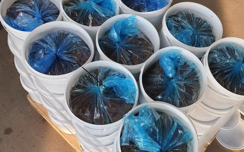 HZA-B: Berliner Zoll kontrolliert drei Shisha-Bars und wird fündig 22kg Wasserpfeifentabak, 366g Drogen und Verstöße gegen Schwarzarbeitsbekämpfungsgesetz im Rahmen der bundesweiten Prüfung aufgedeckt - Foto: presseportal.de