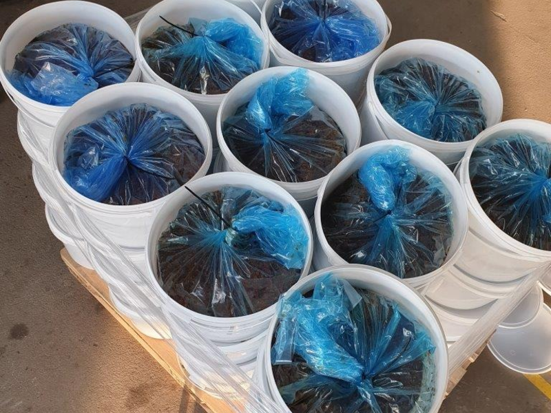 HZA-B: Berliner Zoll kontrolliert drei Shisha-Bars und wird fündig 22kg Wasserpfeifentabak, 366g Drogen und Verstöße gegen Schwarzarbeitsbekämpfungsgesetz im Rahmen der bundesweiten Prüfung aufgedeckt - Foto: presseportal.de