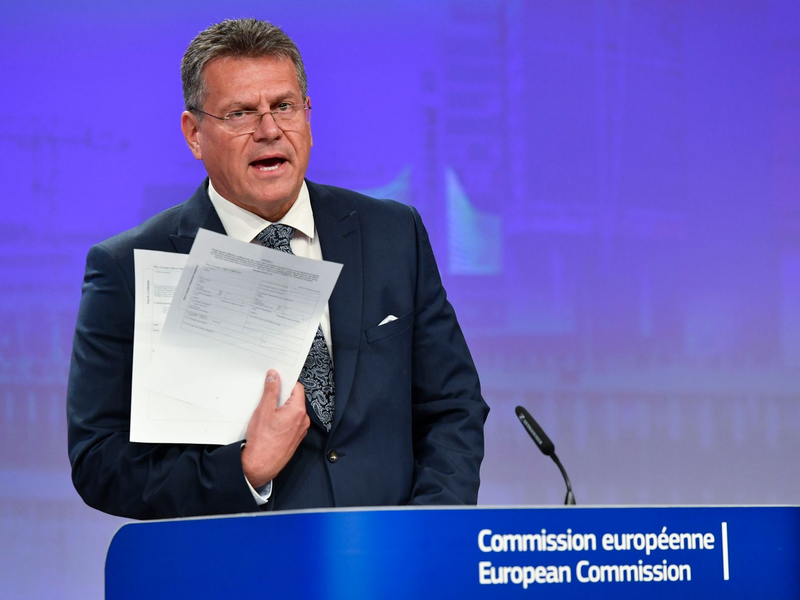 Der Slowake Maros Sefcovic hat den Posten als Klimakommissar im August vom Niederländer Frans Timmermans übernommen. - Foto: Geert Vanden Wijngaert/AP/dpa
