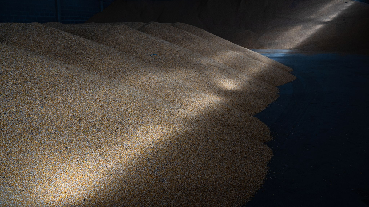 Ein Wohnblock in Charkiw ist nach einem russischen Angriff beschädigt. - Foto: ---/Ukrinform/dpa