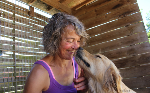 FW Dinslaken: Erhöhtes Einsatzaufkommen für die Feuerwehr Dinslaken - Foto: presseportal.de
