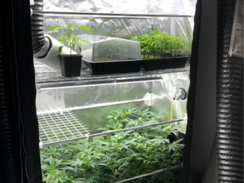 POL-KR: Vier Männer in Untersuchungshaft | Plantage gefunden | Gemeinsame Pressemitteilung von Polizei und Staatsanwaltschaft Krefeld - Foto: presseportal.de