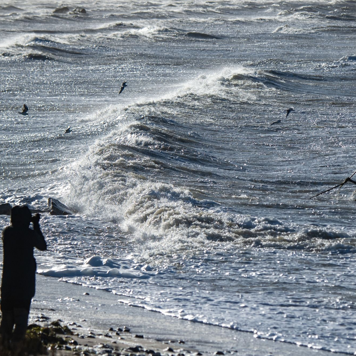Wellen brechen sich am Strand von Altefähr auf der Insel Rügen. - Foto: Stefan Sauer/dpa
