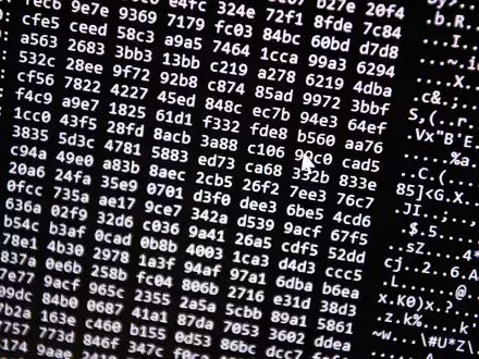 28 Institute werden nach EZB-Angaben im Zuge des Bankenstresstests zu Cyberrisiken eingehender unter die Lupe genommen. - Foto: Nicolas Armer/dpa