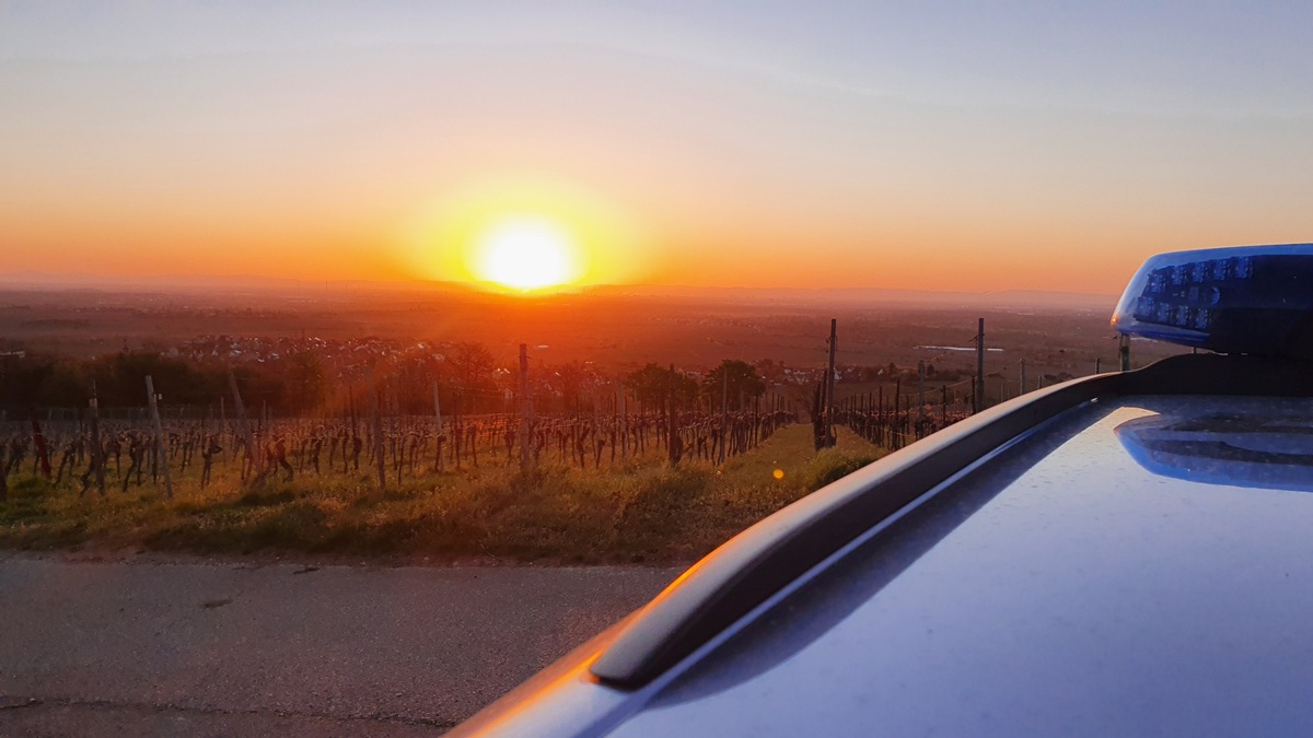 POL-PDNW: Tageswohnungseinbruch - Foto: presseportal.de